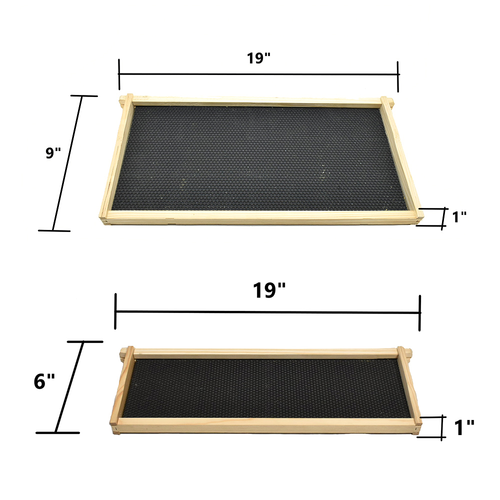  Beekeeping Complete Beehive Kit includes 2 Frame Manual Honey Extractor, Frames, Foundations, Brood Box, Super Box, Inner Cover, Top and Bottom (GLE4STACK) 