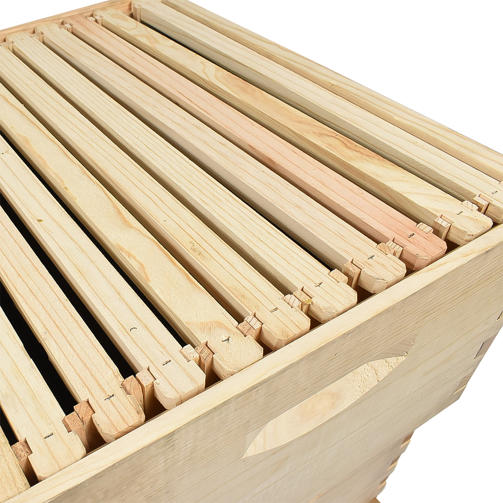 3 Tier Bee Hive Kit With 2 Deep Brood Boxes 1 Super Box and Goodland Bee Supply Two Frame Honey Extractor