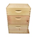 3 Tier Bee Hive Kit With 2 Deep Brood Boxes 1 Super Box and Goodland Bee Supply Two Frame Honey Extractor