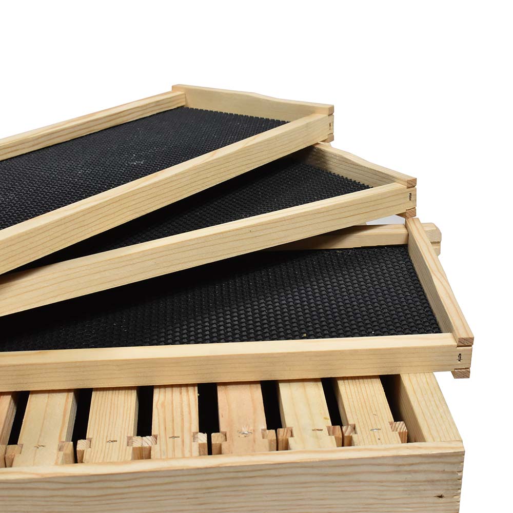  Beekeeping Double Deep Box Beehive Kit includes Frames, Foundations, Entrance Reducer, Brood Box, Super Box, Spacer, Inner Cover, Top and Bottom 
  (GL3STACK)