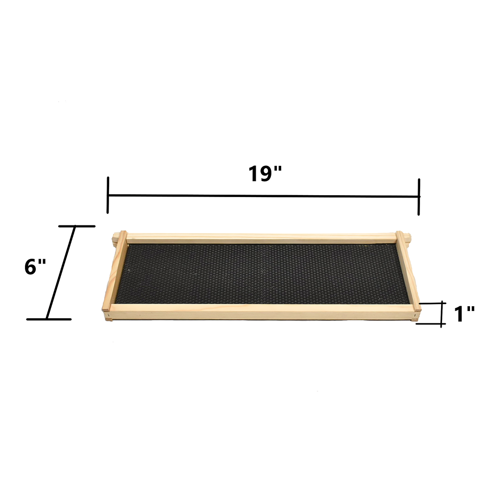  Beekeeping Double Deep Box Beehive Kit includes Frames, Foundations, Entrance Reducer, Brood Box, Super Box, Spacer, Inner Cover, Top and Bottom 
  (GL3STACK)