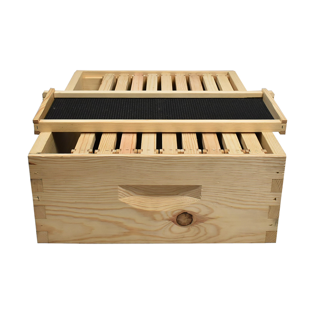  Beekeeping Beehive Super Kit includes Frames, Foundations, Metal Queen Excluder and Spacer (GLHSBOX) 
