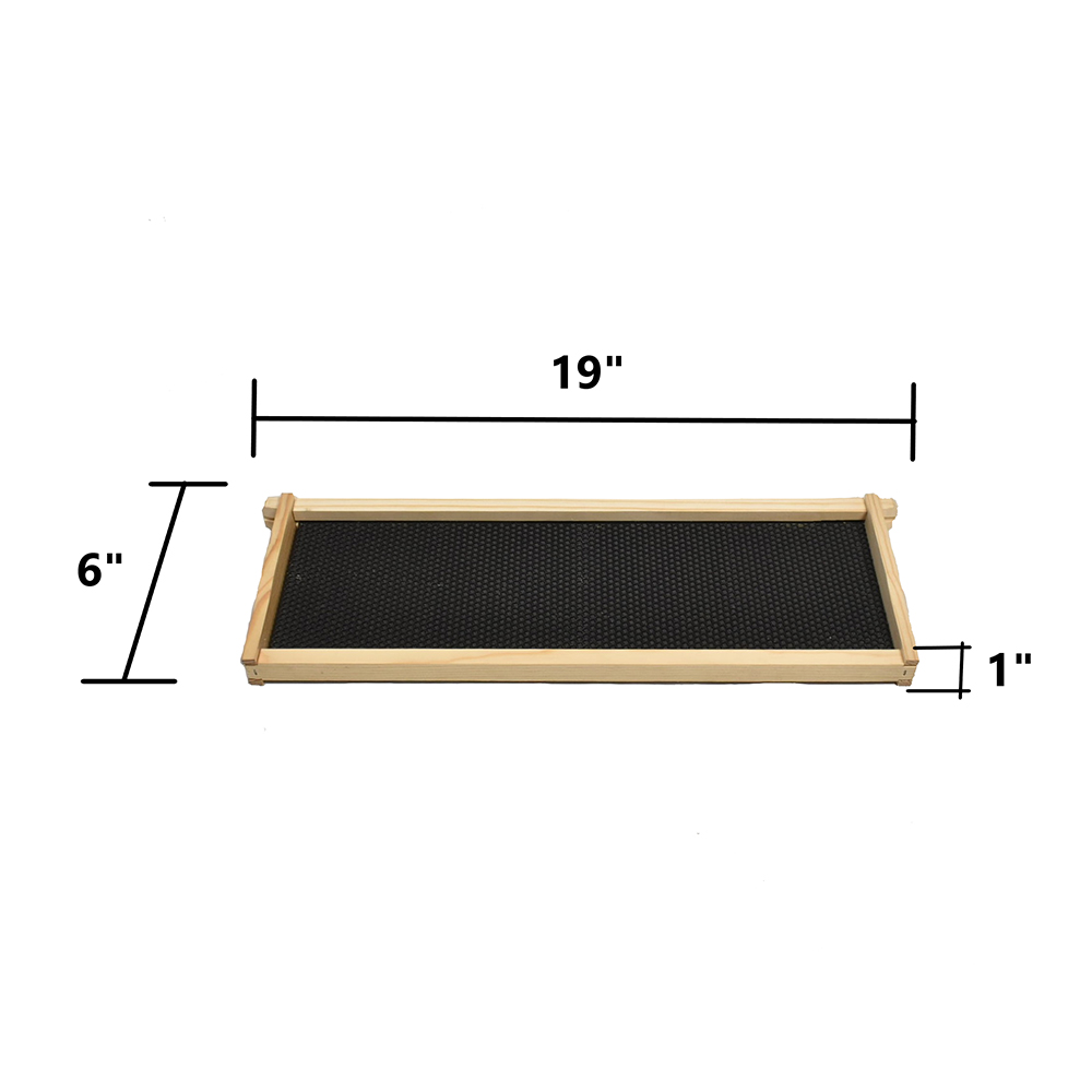  Beekeeping Beehive Super Kit includes Frames, Foundations, Metal Queen Excluder and Spacer (GLHSBOX) 