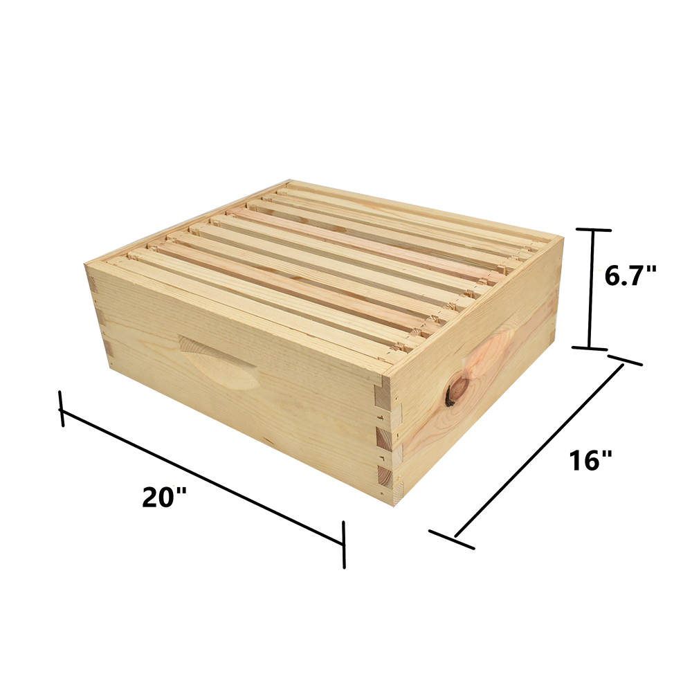  Beekeeping Beehive Super Kit includes Frames, Foundations, Metal Queen Excluder and Spacer (GLHSBOX) 