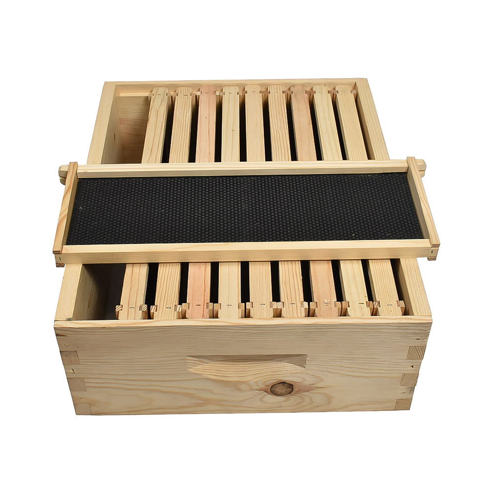 Beekeeping Beehive  Super Kit includes Frames, Foundations, Plastic Queen Excluder and  Spacer