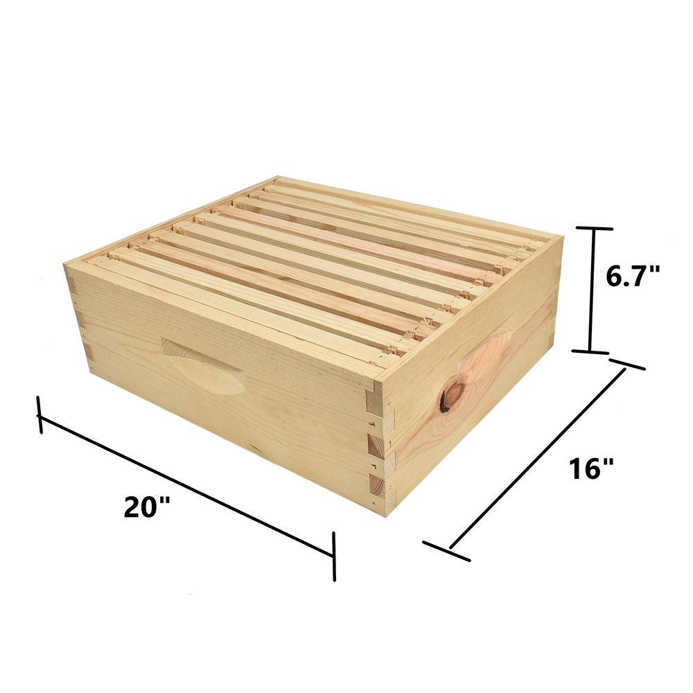Beekeeping Beehive  Super Kit includes Frames, Foundations, Plastic Queen Excluder and  Spacer