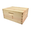 Beekeeping Beehive Brood Kit includes Frames, Foundations, Brood Box and Spacer. GLHDBOX