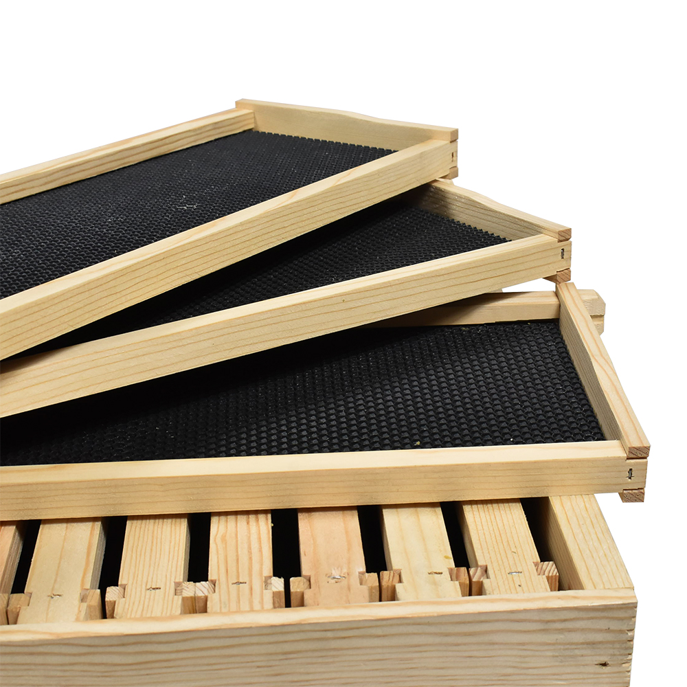 Beekeeping Beehive Brood Kit includes Frames, Foundations, Brood Box and Spacer. GLHDBOX