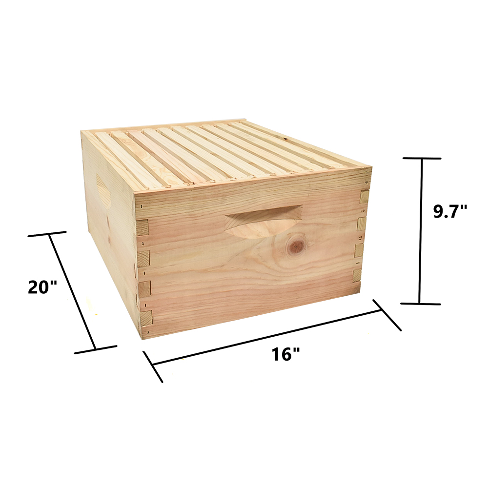 Beekeeping Beehive Brood Kit includes Frames, Foundations, Brood Box and Spacer. GLHDBOX