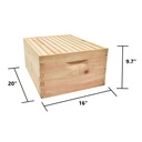 Beekeeping Beehive Brood Kit includes Frames, Foundations, Brood Box and Spacer. GLHDBOX