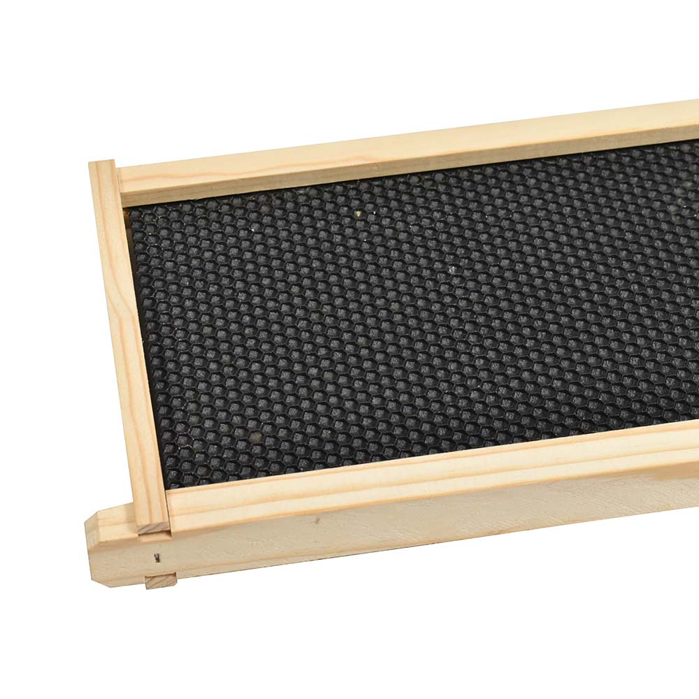 Beekeeping Beehive Body Super Foundation Deep Wood Frame with Plastic Wax Foundation Sheet (Small)