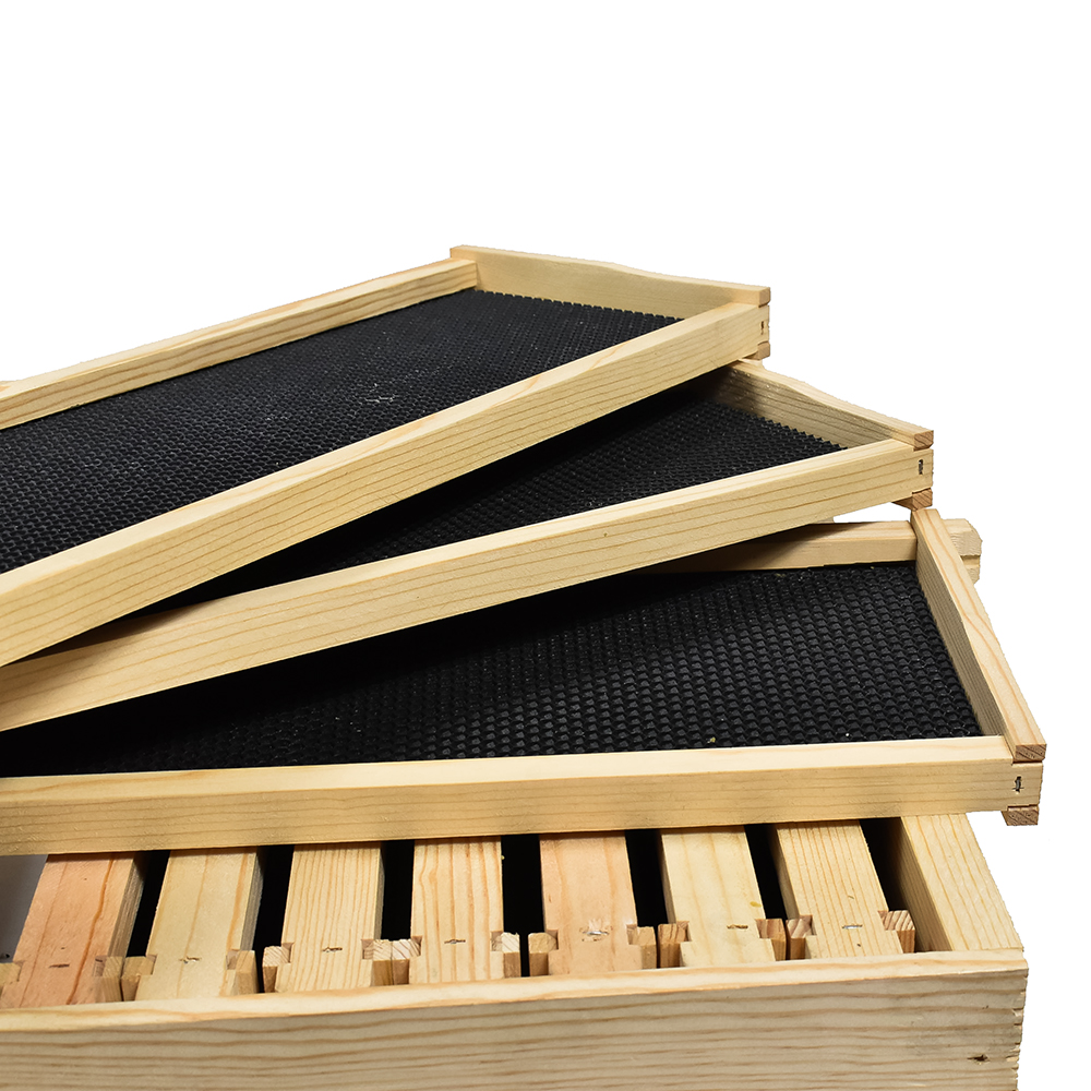  Beekeeping Single Deep Beehive Kit includes Frames, Foundations, Brood Box,  Spacer, Entrance Reducer, Inner Cover, Top and Bottom 
GL1STACK 