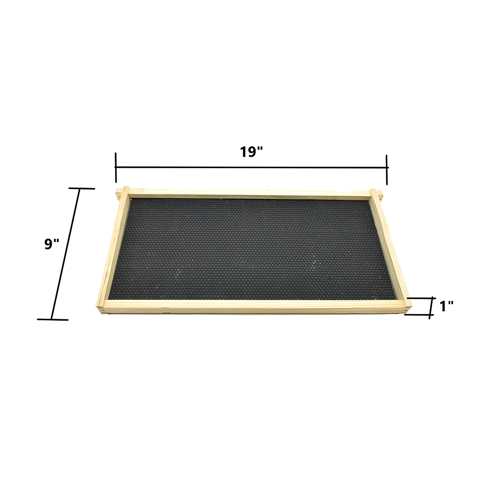  Beekeeping Single Deep Beehive Kit includes Frames, Foundations, Brood Box,  Spacer, Entrance Reducer, Inner Cover, Top and Bottom 
GL1STACK 
