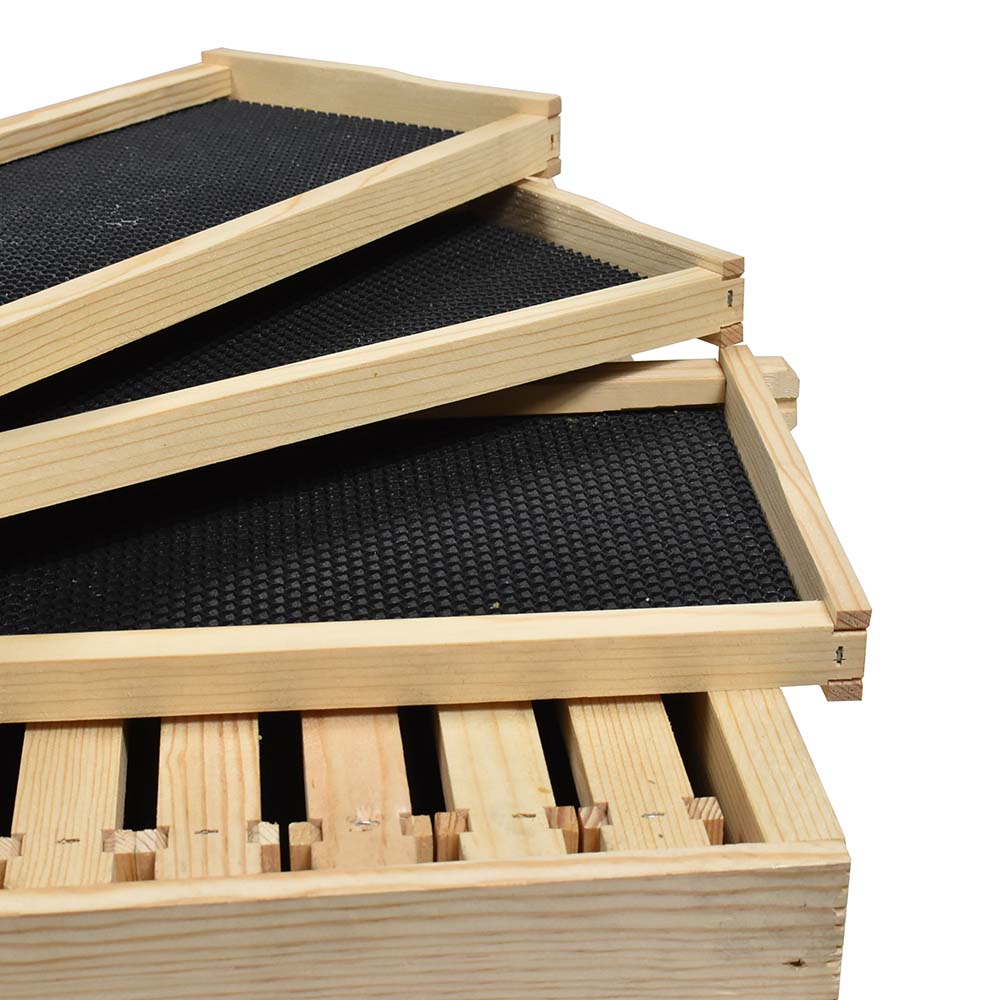  Beekeeping Double Deep Beehive Kit includes Frames, Foundations, Brood Box, Spacer, Entrance Reducer, Inner Cover, Top and Bottom  (GL2STACK)