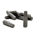 10 Display Pack - T30 Single End Torx Screwdriver Bits - 1 Inch Long