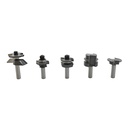 5pcShaker Raised Panel Cabinet Maker Set,1/2"Shank(I)