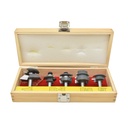 5pcShaker Raised Panel Cabinet Maker Set,1/2"Shank(I)