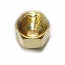 1/4" MPT x 1/2" FPT Brass Hex Bushing - Six Display Pack - W03
