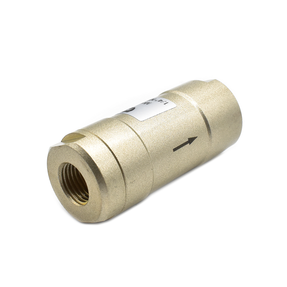 Check Valve 1/4" NPT - W02