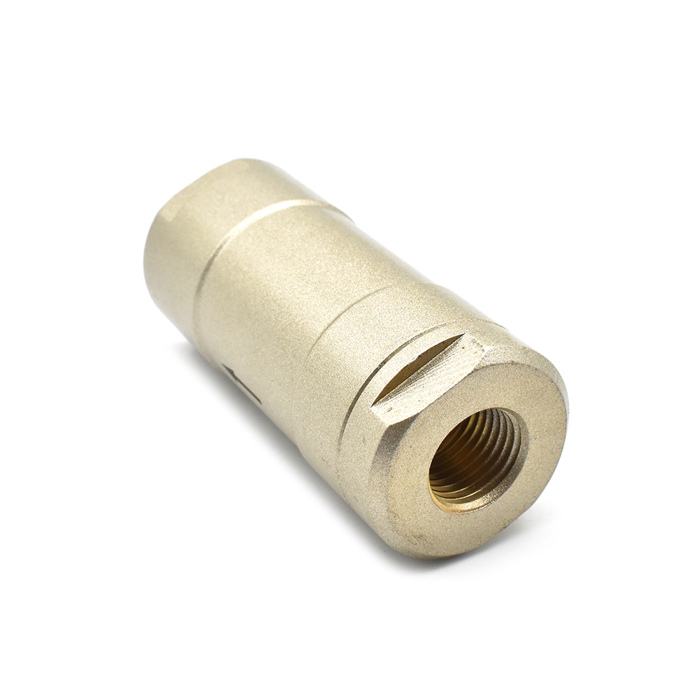Check Valve 1/4" NPT - W03