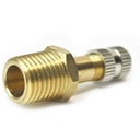 VT2 - 1/8" NPT Tank Valve with Cap - W04