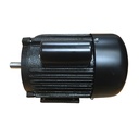 5 HP Dust Collector Motor (1687A5M) - W02