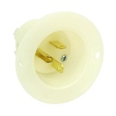 Std Flange Plug 2-Pole 3-Wire 20A 125V NEMA 5-20P - W02
