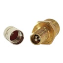 VT4 - 1/4" NPT Tank Valve with Cap - W03