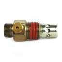 Check Valve, 1/2" NPT, Steel - W05