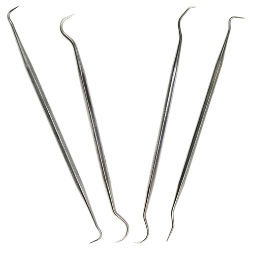 4 Piece Dental Pick Set (Stainless Steel) - W02