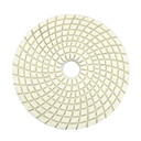 Resin Diamond Polishing Pad,  5" 50 Grit
 - W02