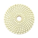 Resin Diamond Polishing Pad,  5" 200 Grit
 - W02