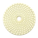 Resin Diamond Polishing Pad,  5" 100 Grit
 - W02
