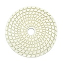Resin Diamond Polishing Pad,  4" 800 Grit - W02