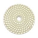 Resin Diamond Polishing Pad,  4" 400 Grit - W02