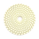 Resin Diamond Polishing Pad,  4" 200 Grit - W02