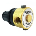 1/4" Compact Brass Regulator 0-125 PSI with Gauge - W02