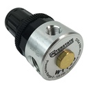 1/4" Compact Metal Regulator 0-125 PSI with Gauge - W02