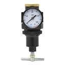 3/8" "T" Handle Regulator 0-125 PSI with Gauge - W02