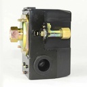 Pressure Switch - 1/4 FPT single port - bend/lever switch - 125 psi - W03