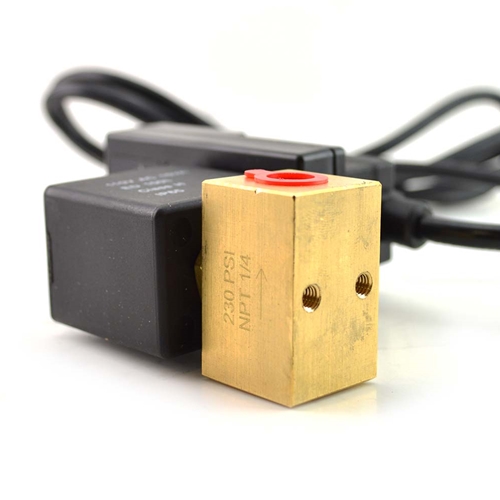 Timed Electric Auto Drain Valve, 1/4" NPT 110 Volts - W05