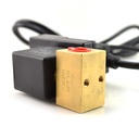 Timed Electric Auto Drain Valve, 1/4" NPT 110 Volts - W05