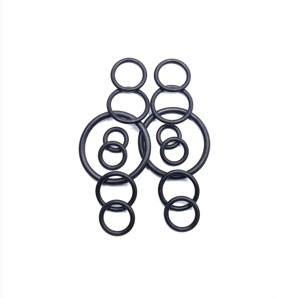 866-T ASSORTED "O" RINGS - W04