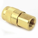 1/4" x 1/4" FPT Auto Brass Coupler - Single Display Pack - W02