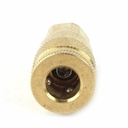 1/4" x 1/4" FPT Auto Brass Coupler - Six Display Pack - W05