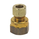 1081-T 66-C 3/8" Comp x 1/2" FIP Lead-Free Brass Adapter - W02