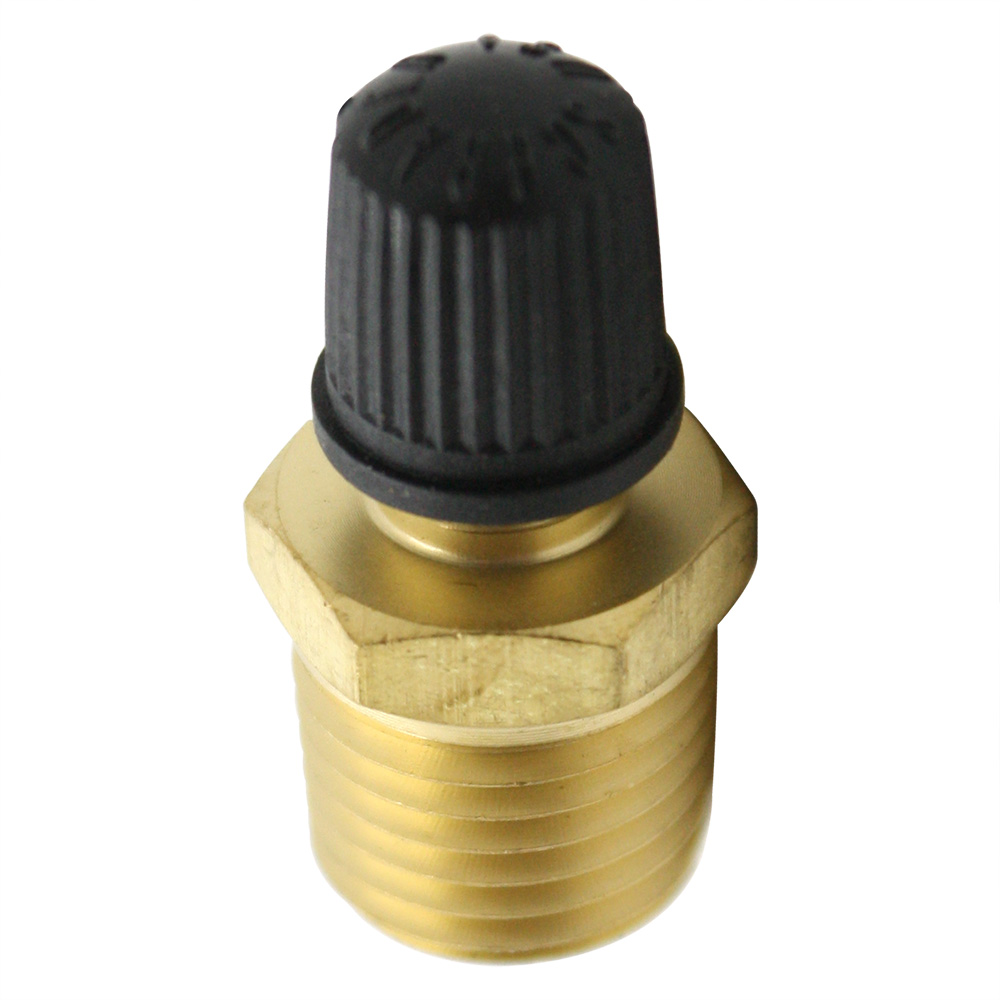 1234-T 1/4" MIP Vent Valve & Cap - W02