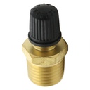 1234-T 1/4" MIP Vent Valve & Cap - W02