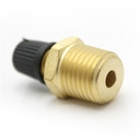 1234-T 1/4" MIP Vent Valve & Cap - W04