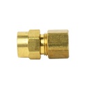 1354-T 66 5/16" x 1/8" Lead-Free Brass Compression FIP Adapter - W03